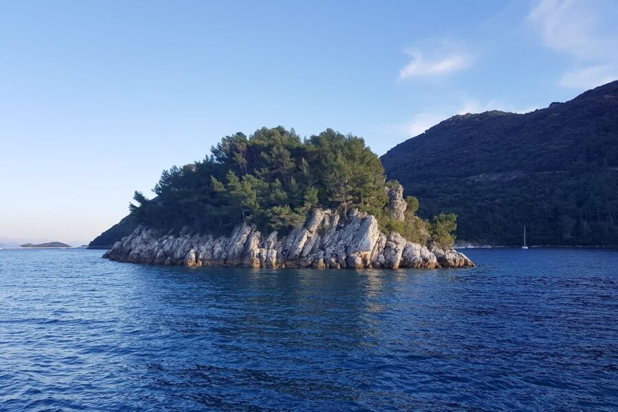 From Dubrovnik: Pvt Speedboat Cruise to Mljet&Sipanska Luka - The Blue Cave at Kolocep