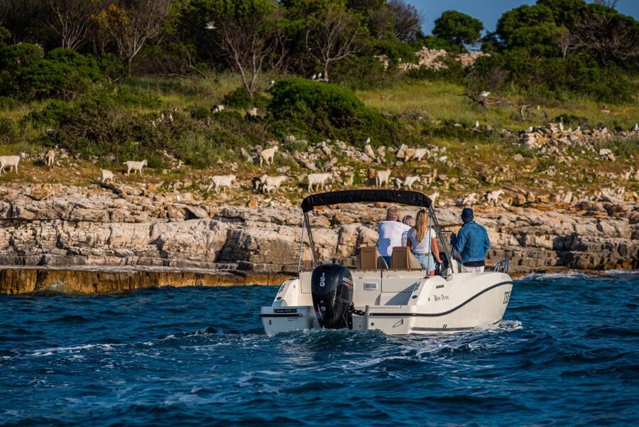 From Fažana: Private boat tour of Brijuni Islands - Skippers Lucy and Roberta add a personal touch