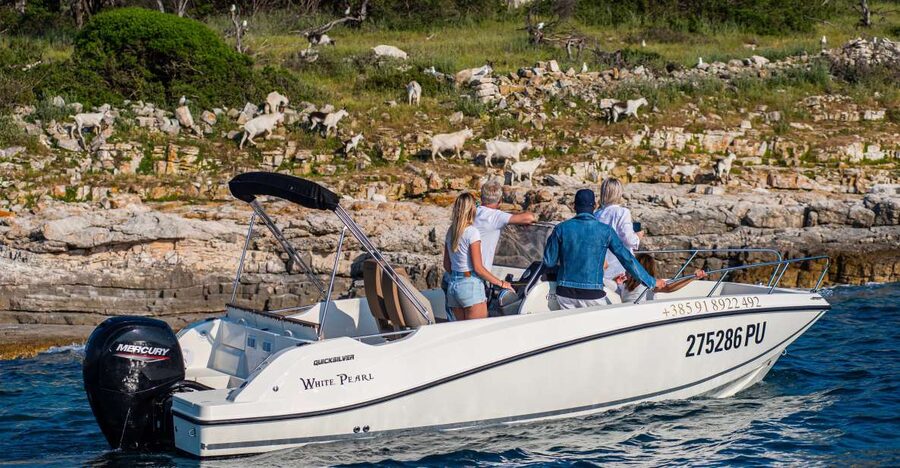 From Fažana: Private boat tour of Brijuni Islands - Kozada offers the quietest pause