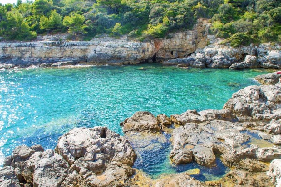 From Fažana: snorkeling at sea cave and Brijuni Island - What the $365 group price really means