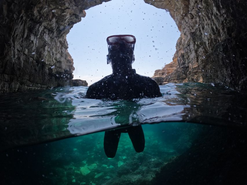 From Fažana: snorkeling at sea cave and Brijuni Island - Guides, comfort, and the pace on board
