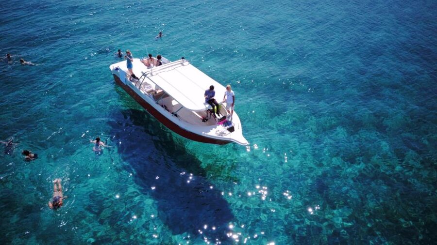 From Hvar: Vis Island and Blue Cave Speedboat Tour - Why this Hvar boat tour works so well