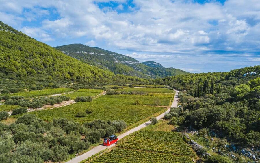 From Korcula Town: Local Wine & Sightseeing Half-Day Tour - Why this tour works well from Korcula Town