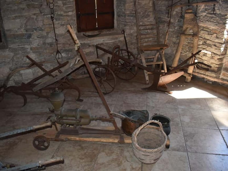 From Korcula Town: Local Wine & Sightseeing Half-Day Tour - Vineyards, island views, and the final winery