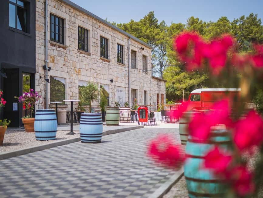 From Korcula Town: Local Wine & Sightseeing Half-Day Tour - Who should book this Korcula wine tour?