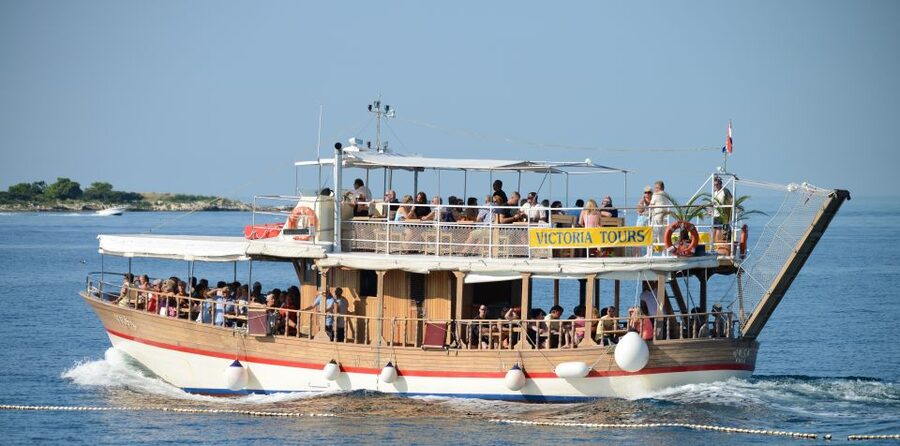 From Poreč: Evening Dolphin Cruise with Welcome Drink - The Welcome Drink and Onboard Atmosphere