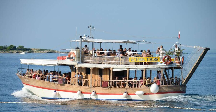 From Poreč: Evening Dolphin Cruise with Welcome Drink - Should You Book the Victoria Tours Dolphin Cruise?