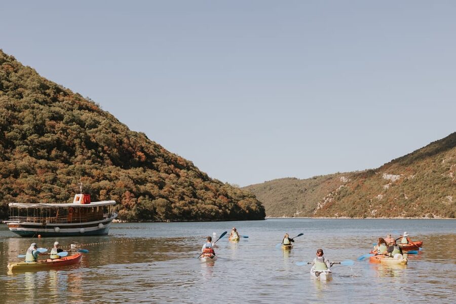 From Poreč: Lim Bay Sea Kayaking Day Trip - Paddling the first stretch of Lim Bay