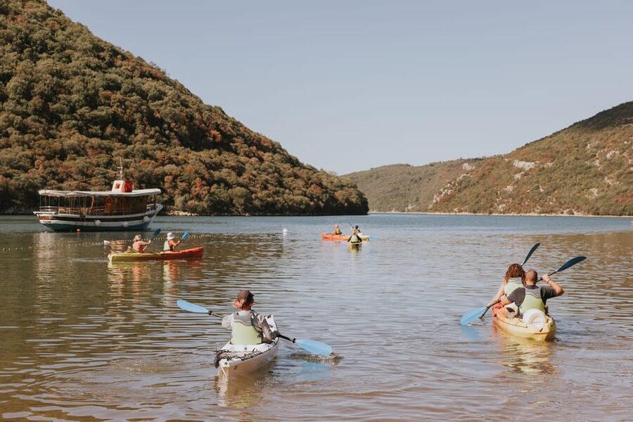 From Poreč: Lim Bay Sea Kayaking Day Trip - Reaching the oyster farms