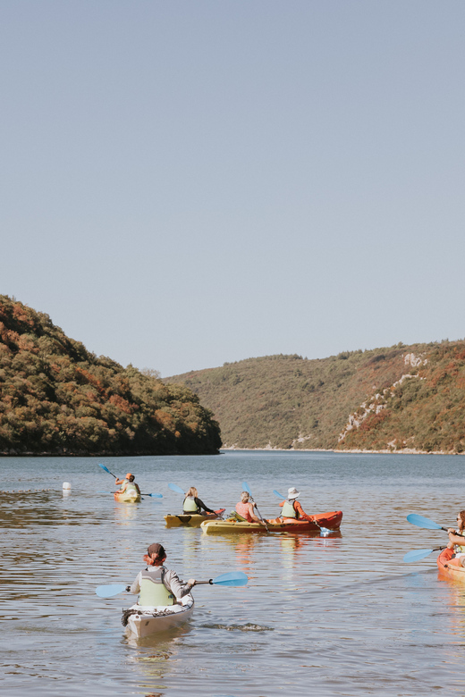 From Poreč: Lim Bay Sea Kayaking Day Trip - Meeting near Restaurant Fjord