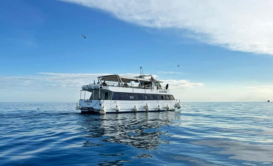 From Pula: Rovinj & NP Brijuni cruise with Red Island visit - Seeing Rovinj from the water, then walking on your own