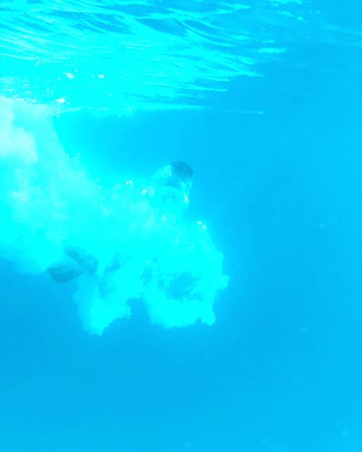From Split: Blue Lagoon & 2 Islands half-day Private - Food, drinks, and facilities you need to plan