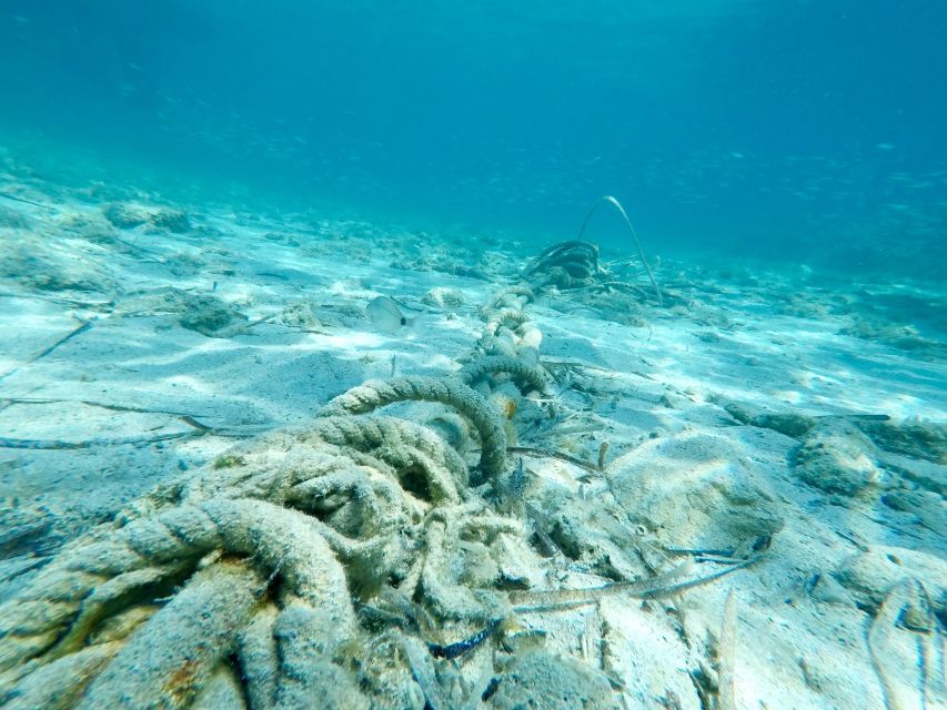 From Split: Blue Lagoon & Trogir Boat Trip with Snorkeling - Should You Book the Split Blue Lagoon and Trogir Trip?