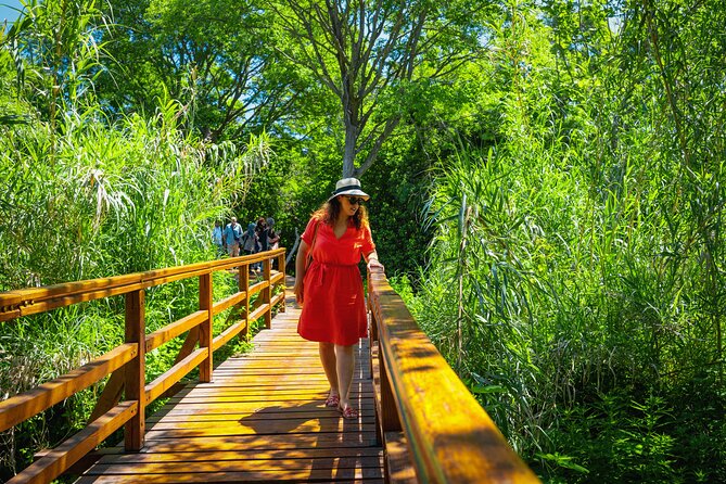 From Split: Krka Waterfalls Tour - Guides, drivers, and group size