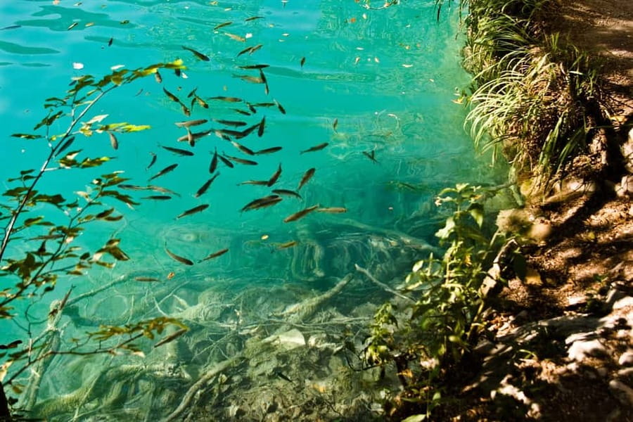 From Split: Krka Waterfalls Tour with Boat Ride & Swimming - Who will enjoy this Krka tour most?