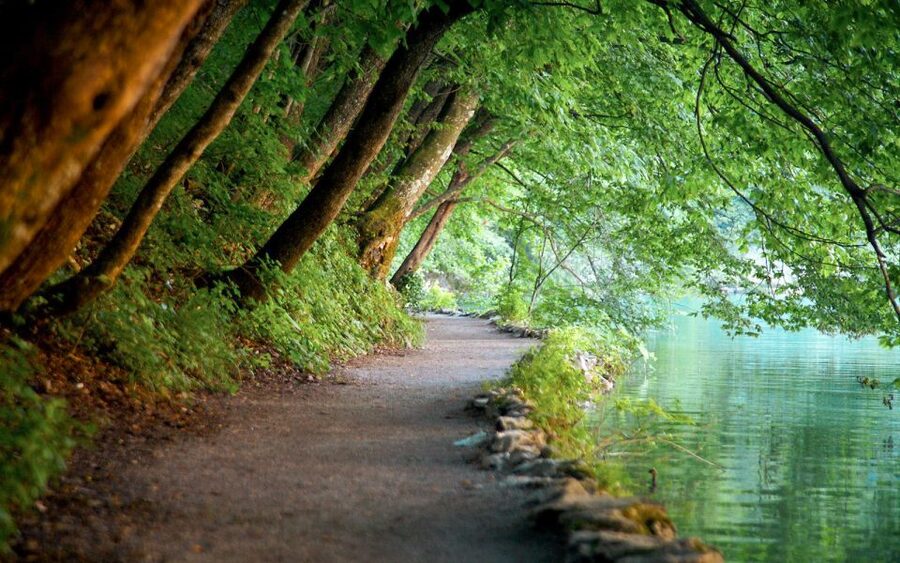 From Split or Trogir: Plitvice Lakes Guided Full-Day Tour - The Kozjak Lake boat ride