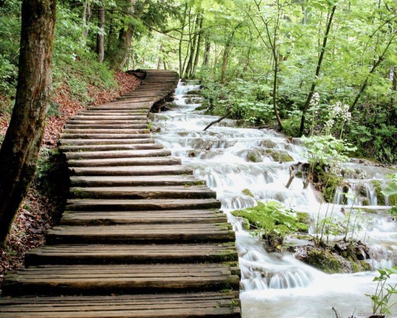 From Split or Trogir: Plitvice Lakes Guided Full-Day Tour - Practical tips for a better day