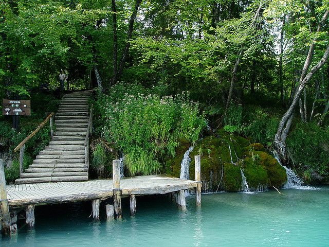 From Split or Trogir: Plitvice Lakes Private Tour - The Crowds, Timing, and Physical Demands