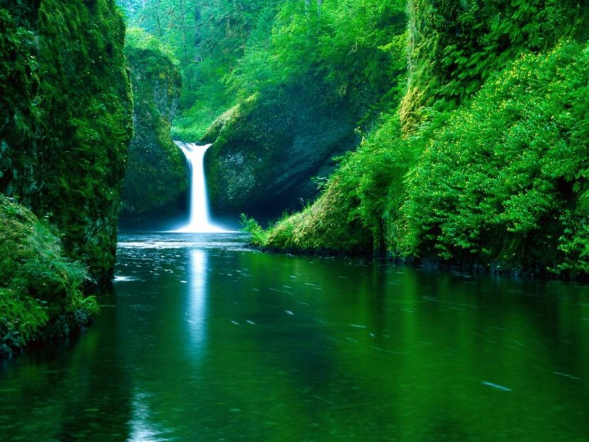 From Split or Trogir: Plitvice Lakes Private Tour - Free Time to Choose Your Own Pace