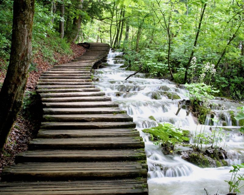 From Split or Trogir: Plitvice Lakes Private Tour - Is $559 Per Person a Fair Price?