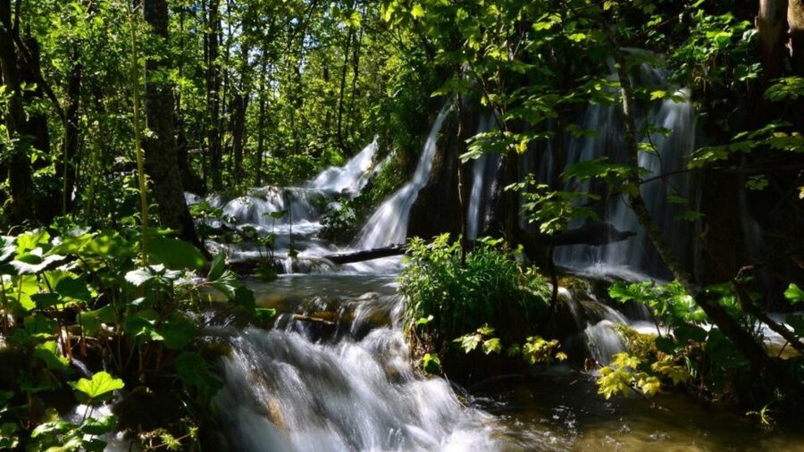 From Split or Trogir: Plitvice Lakes Trip with Entry Ticket - Key points to know before you book
