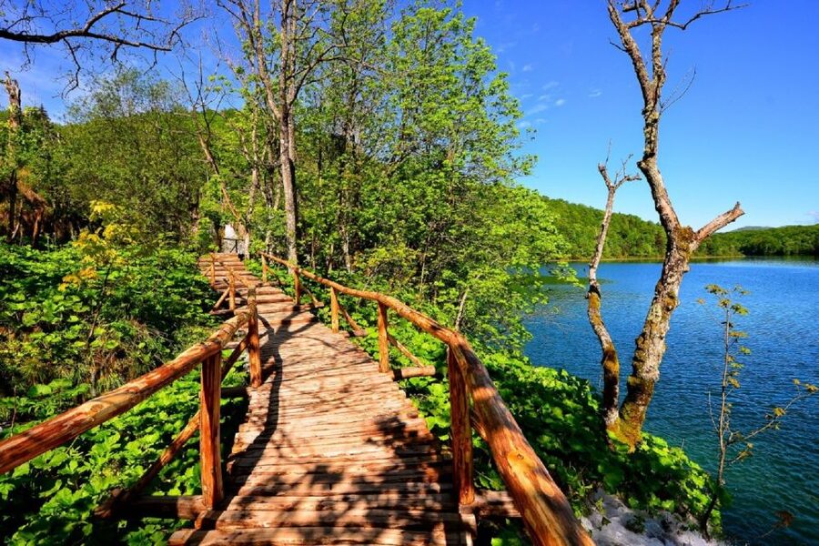 From Split or Trogir: Plitvice Lakes Trip with Entry Ticket - Four hours among the lakes and waterfalls