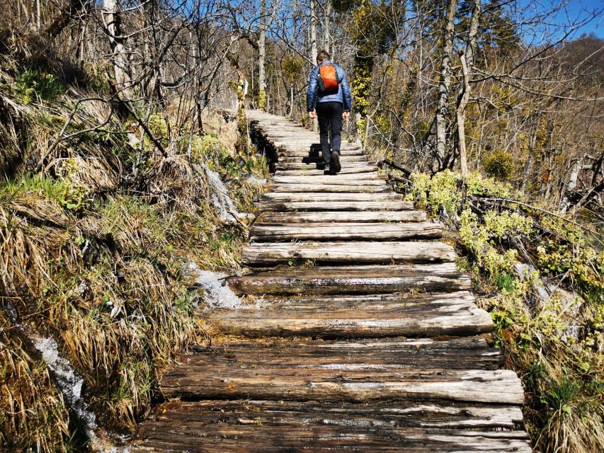 From Split: Plitvice Lakes Full-Day Trip - Should you book the Plitvice Lakes trip from Split?