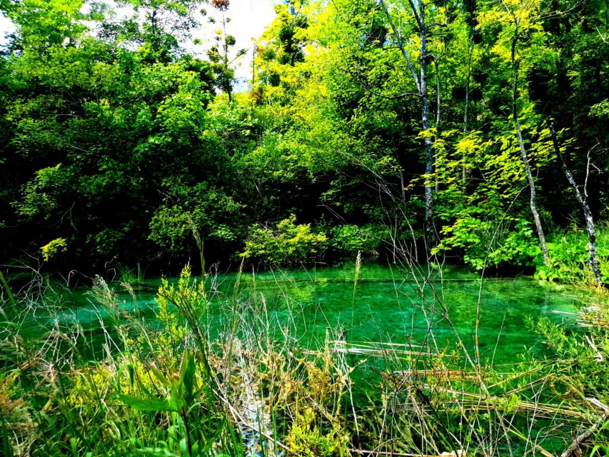 From Split: Plitvice Lakes Full-Day Trip - Café breaks and the long return to Split