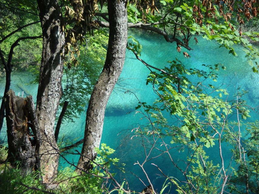 From Split: Plitvice Lakes Full-Day Trip - What the €57 price really covers