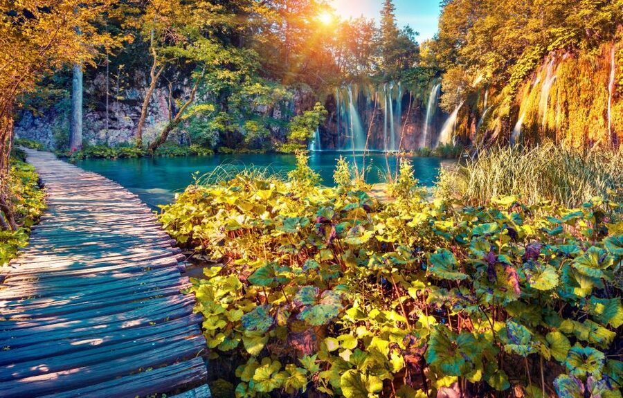 From Split: Plitvice Lakes Full-Day Trip - Who will enjoy this outing most