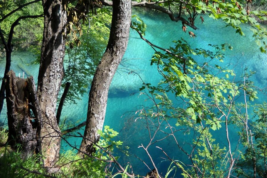 From Split: Plitvice Lakes Fully-Guided Day Tour - Meeting at the Split Riva