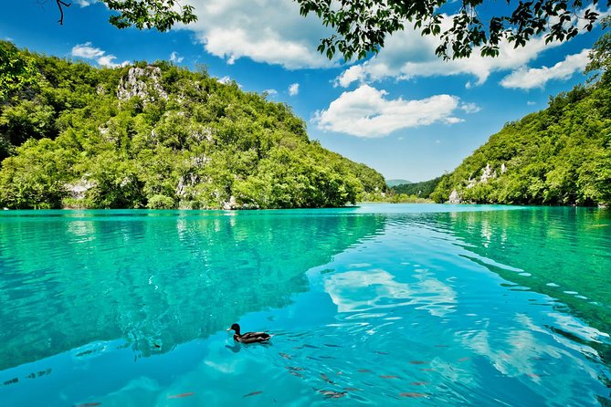 From Split: Plitvice Lakes National Park Guided Tour - Electric train ride and the return to Split