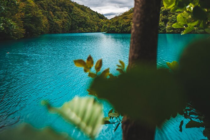 From Split: Plitvice Lakes - Private tour - Is $786.40 good value for two people?