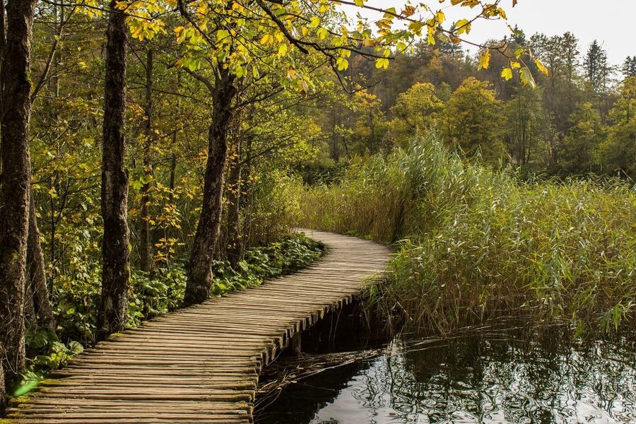 From Split: Private Tour to Plitvice Lakes National Park - Who will enjoy this day trip most
