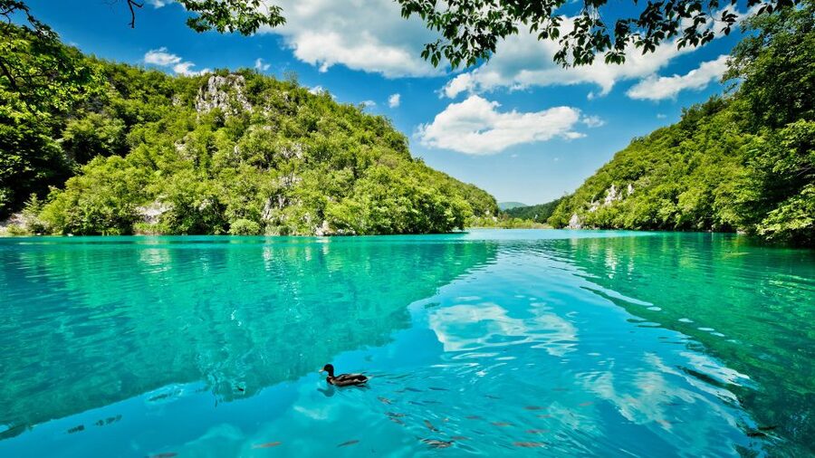 From Split: Transfer to Zagreb with Stop at Plitvice Lakes - The panoramic train and the return to Zagreb