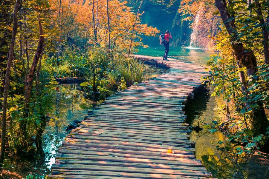 From Split/Trogir/Omiš: Plitvice Lakes Guided Group Tour - How much park time will you really get?