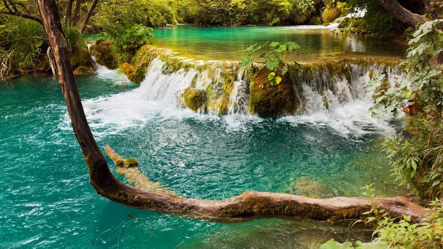 From Trogir, Seget & Okrug: Krka Waterfalls Gastro Tour - Who should book this seven-hour outing?