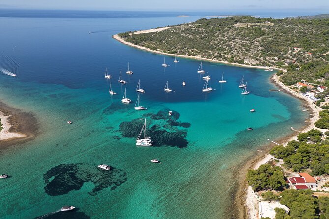 From Trogir & Split: Half Day Speedboat Tour with Blue Lagoon - Is $81.03 good value for five hours?