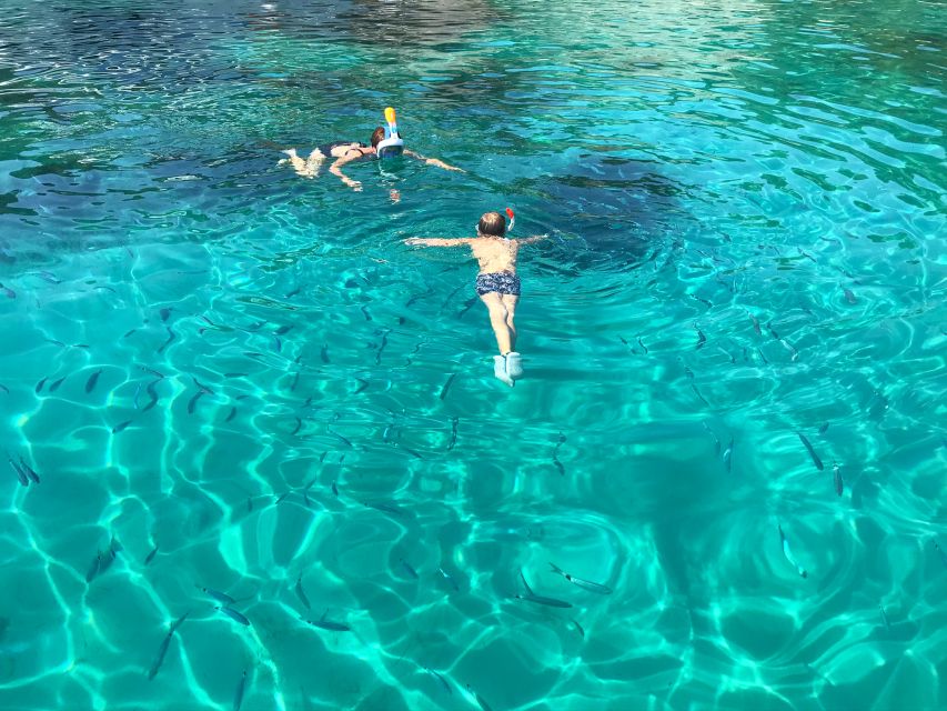 From Trogir: Three Islands Half-Day Speedboat Tour - Should you book the Three Islands tour?