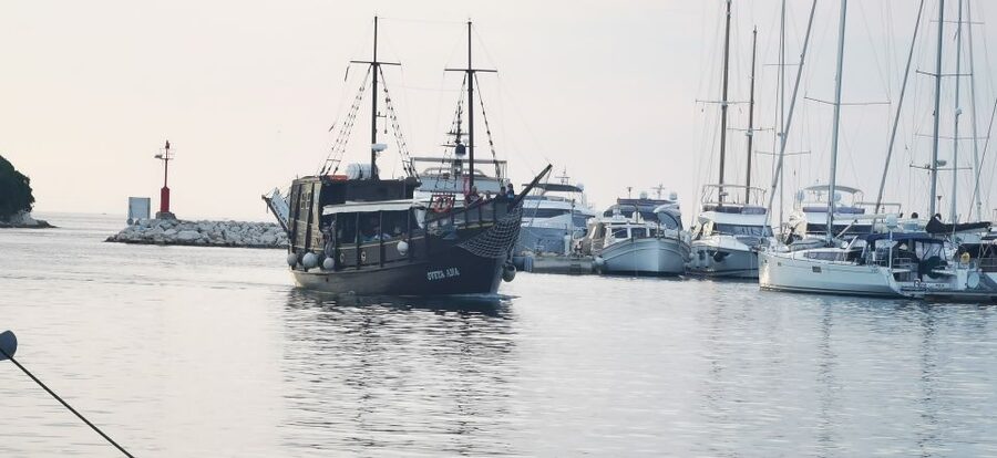 From Vrsar: Boat Trip to Rovinj and Lim Fjord - Should you book the Vrsar to Rovinj and Lim Fjord boat trip?