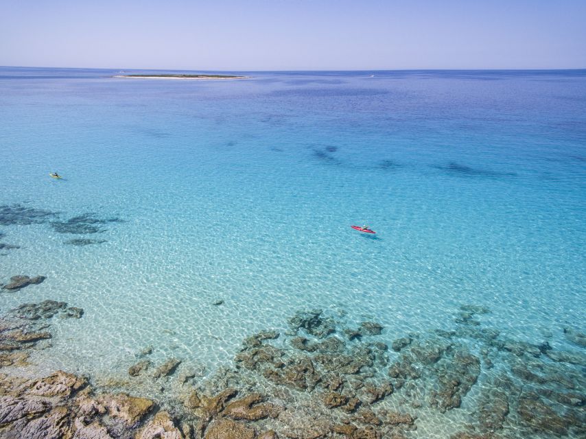 From Zadar: Dugi Otok Half-Day Kayak Adventure - Why this Dugi Otok trip feels like more than a beach day