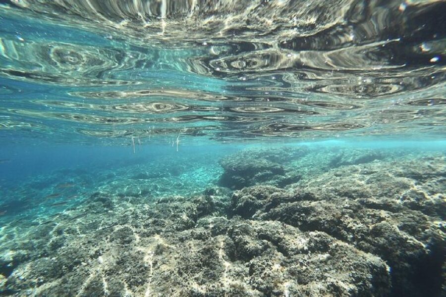 From Zadar: Half/Full Day Sailing Tour - The half-day route from 09:00 or 14:00