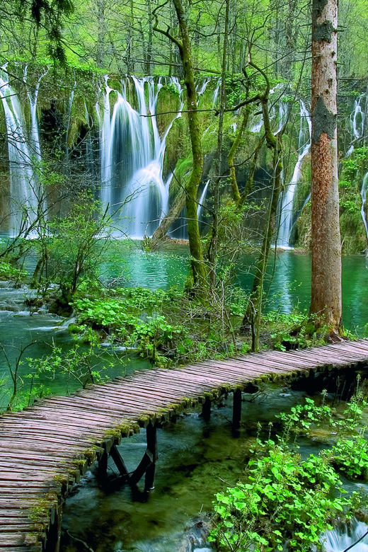 From Zadar: Plitvice Lakes Day Tour - Key points to know before booking
