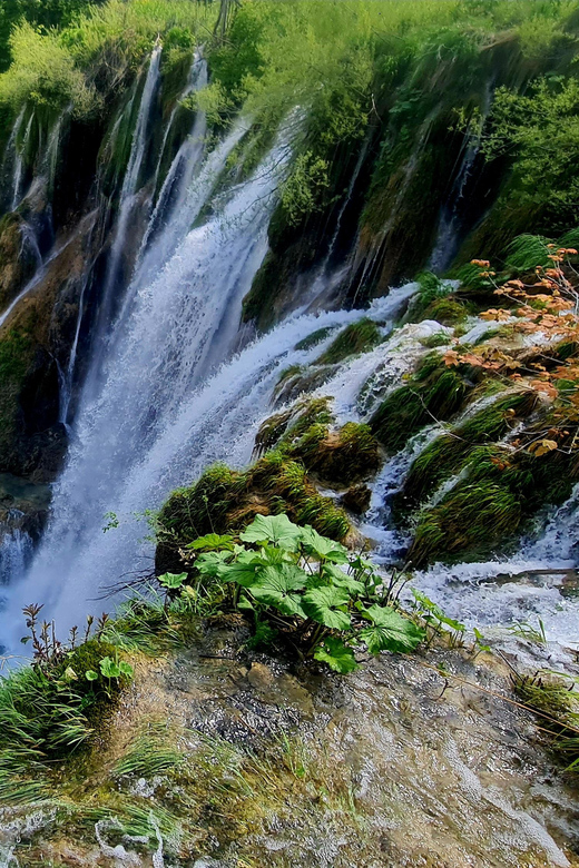 From Zadar: Plitvice Lakes Day Trip with Guide and Boat Tour - Route B or Route C: Choosing Your Walk