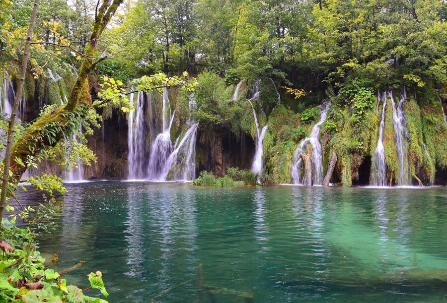 From Zadar: Plitvice Lakes National Park Tour - What the guide adds to the day