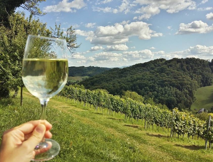From Zagreb: Fairytale Castle & Wine Tasting & Lunch - Leaving Zagreb for the hills of Zagorje