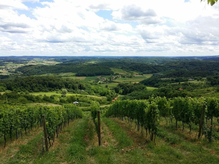 From Zagreb: Fairytale Castle & Wine Tasting & Lunch - A Croatian lunch worth making room for