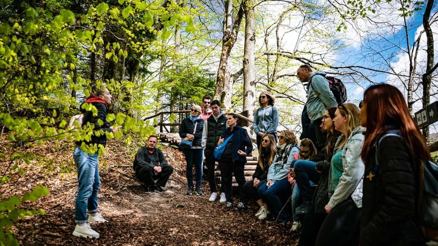 From Zagreb: Plitvice Lakes National Park Full-Day Tour - Why Plitvice Lakes is worth the long ride from Zagreb