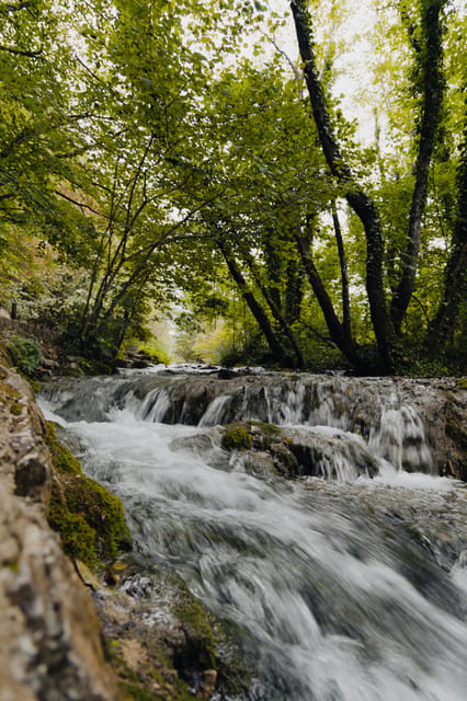 From Zagreb to Plitvice Lakes and Rastoke - Private day tour - Choosing your pace instead of following a flag