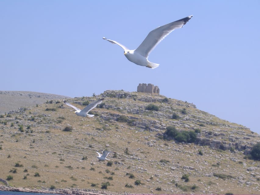Full-day boat trip from Zadar and Sukošan to Kornati NP - Two and a half hours at Lojena Beach